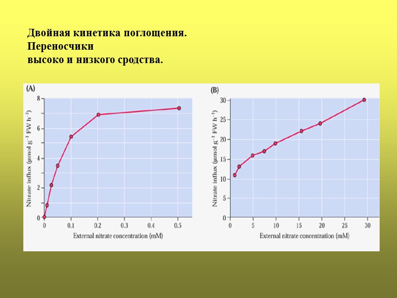 Двойная кинетика поглощения.  Переносчики  высоко и низкого сродства.
